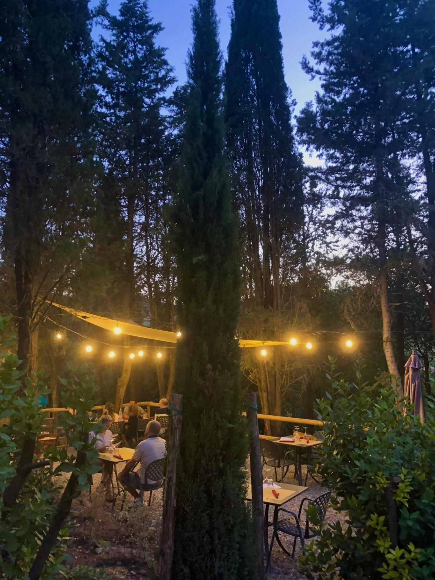 Agriturismo Casa Alle Vacche サン・ジミニャーノ エクステリア 写真