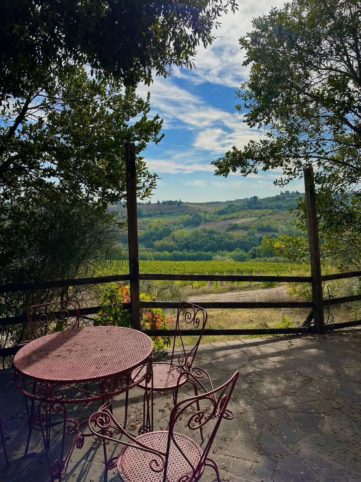 Agriturismo Casa Alle Vacche サン・ジミニャーノ エクステリア 写真