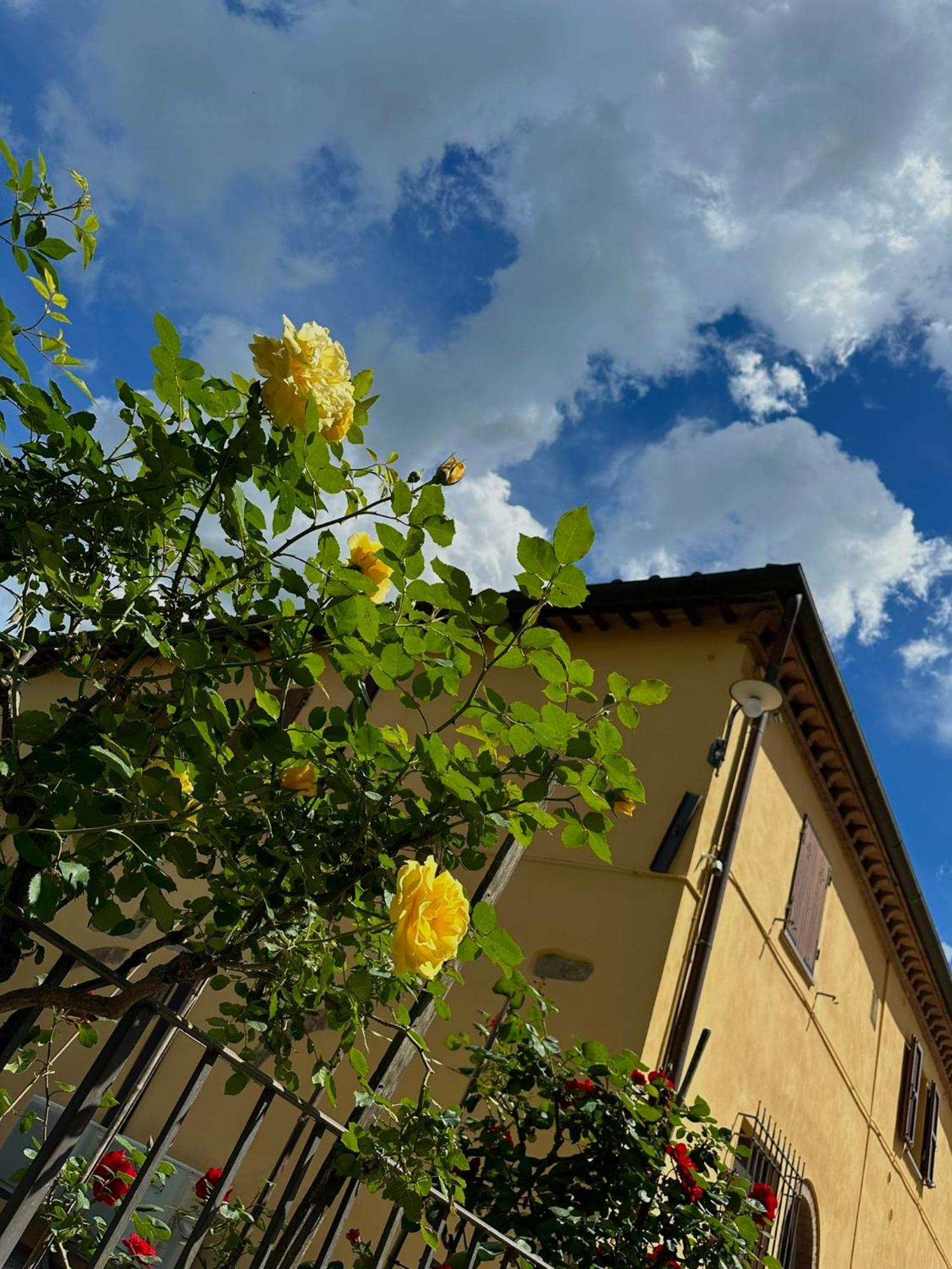 Agriturismo Casa Alle Vacche サン・ジミニャーノ エクステリア 写真