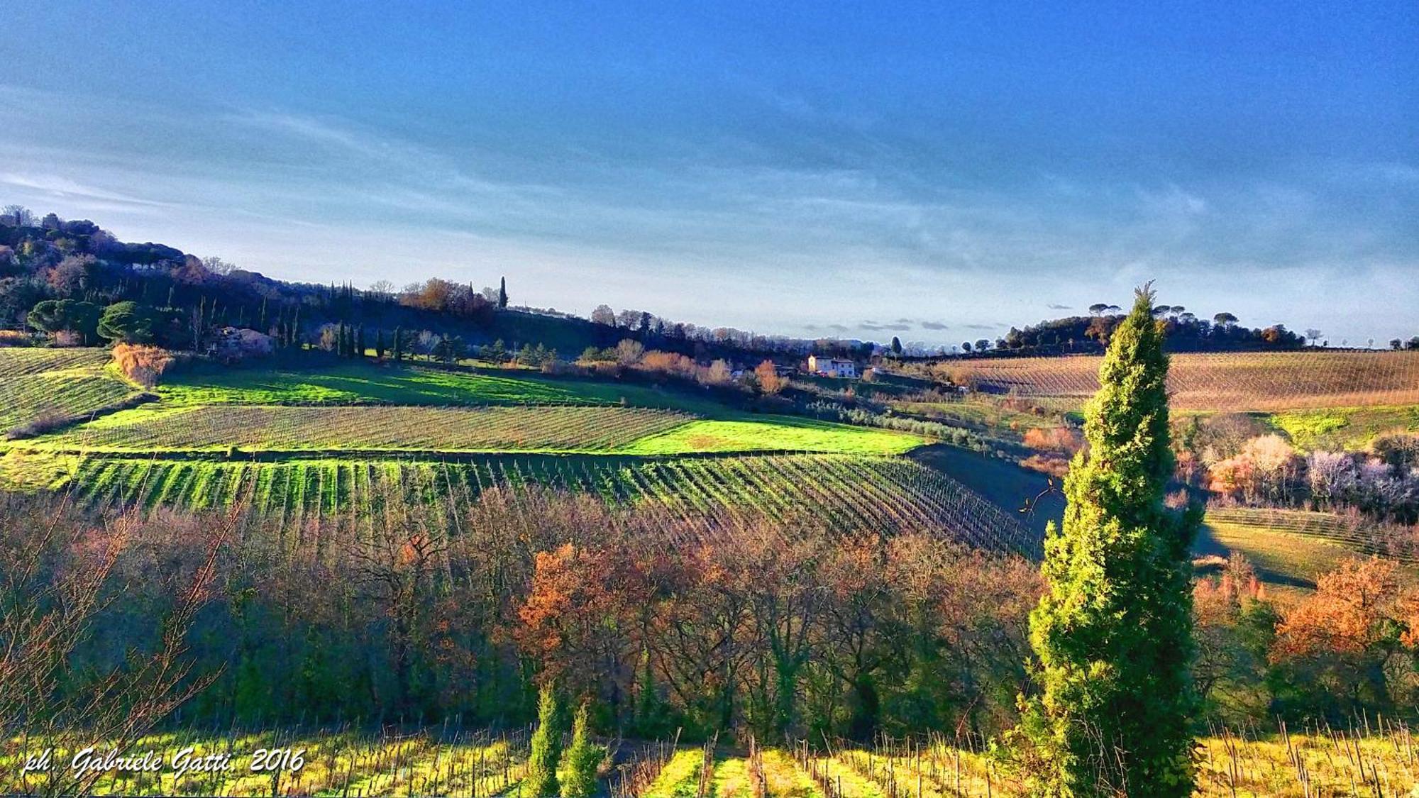 Agriturismo Casa Alle Vacche サン・ジミニャーノ エクステリア 写真